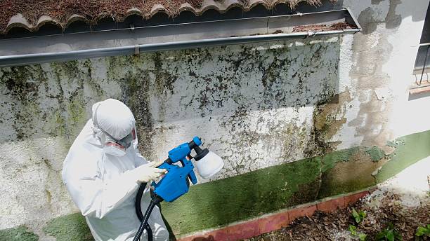 Top rated local Hvac And Air Duct Mold Remediation specialists in Coopersville, MI